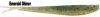 gumová nástraha Berkley Minnow 8cm