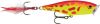 Wobler Rapala Skitter Pop Top Water 7cm/7g OF