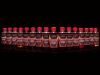 Booster Sportcarp Salmon Maple 250ml